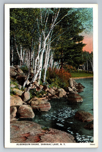 Algonquin shore saranac - algonquin,